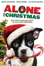 Alone for Christmas (2013)