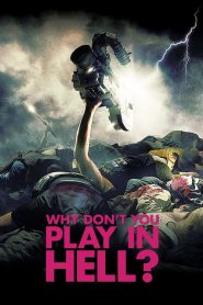 Why Don’t You Play in Hell? (2013)