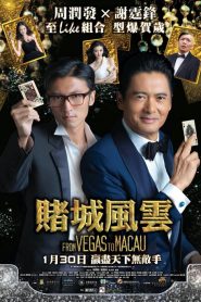 The Man from Macau (2014)