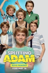 Splitting Adam (2015)